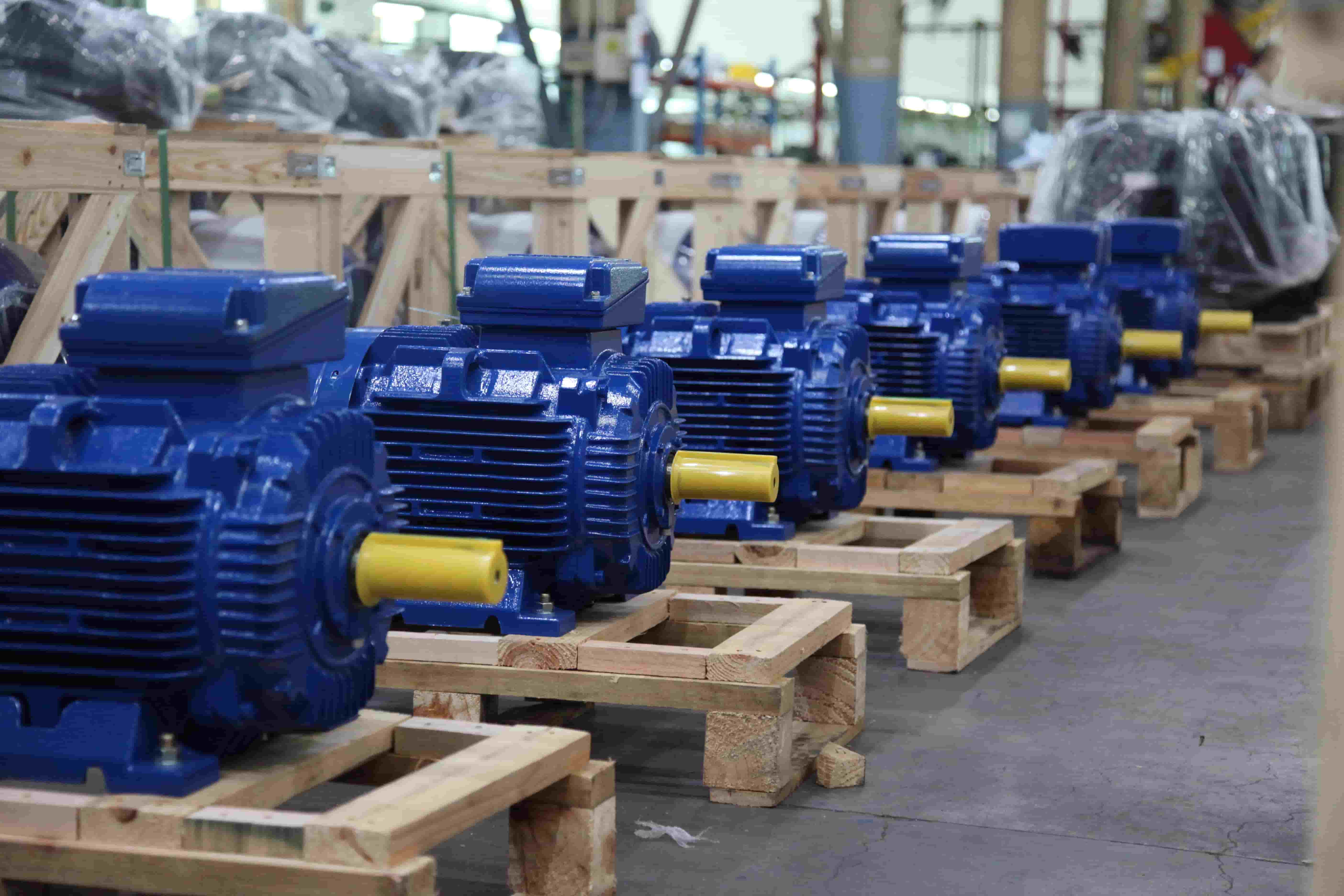 Electric Motors Manufacturer